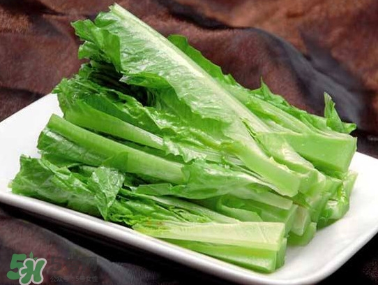 萵苣葉能吃嗎？萵苣葉和油麥菜有什么區(qū)別