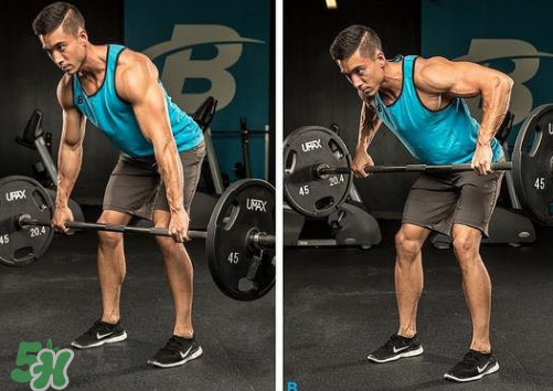 杠鈴劃船怎么做？杠鈴劃船正手反手區(qū)別