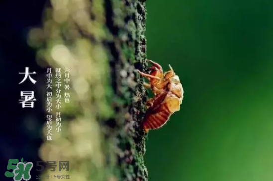 三伏天怎樣飲食？三伏天不宜做哪些事？