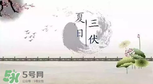 三伏天練什么？三伏天具體怎么養(yǎng)生？