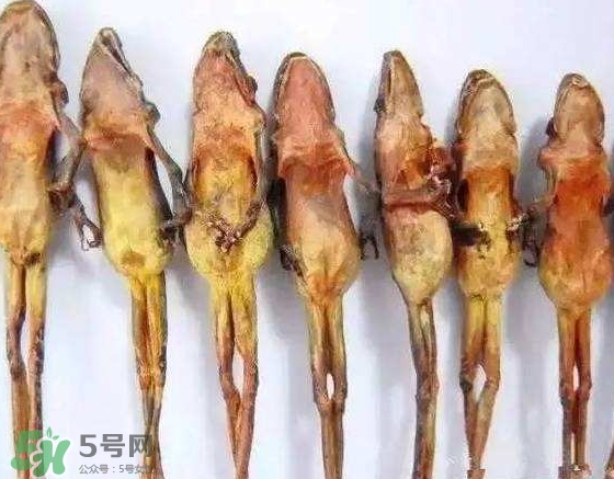 雪蛤干多少錢一斤？雪蛤干怎么吃？