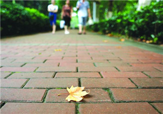 三伏天要做什么？三伏天不能忘做的事