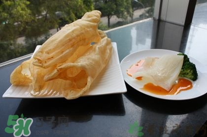 花膠可以放多久？花膠可以放冰箱嗎？