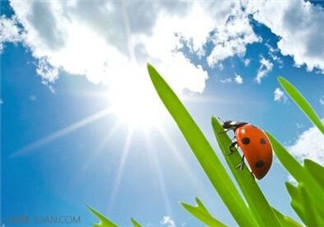 三伏天怎樣飲食？三伏天不宜做哪些事？