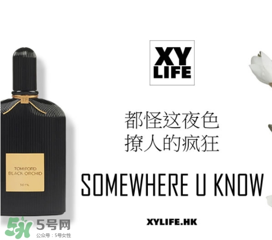 tom ford午夜蘭花香水多少錢？午夜蘭花香水專柜價格