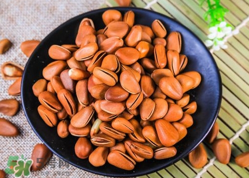 松籽什么季節(jié)采摘？吃松籽有什么好處？