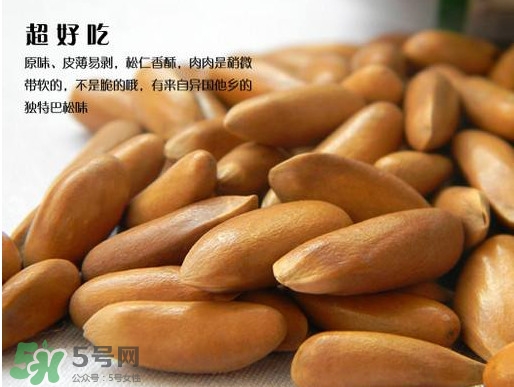 松籽過(guò)期還能吃嗎？松籽出芽是怎么回事