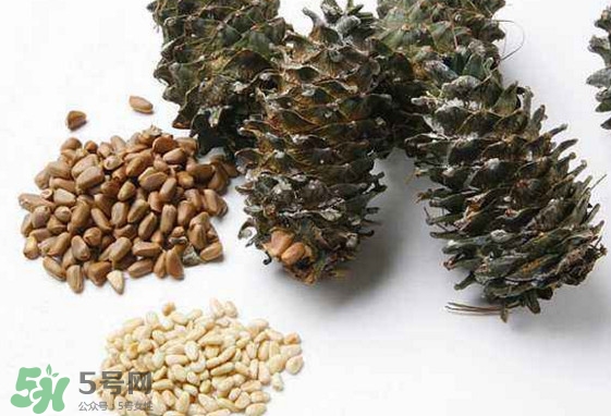 松子是松樹的果實(shí)嗎？松子是酸性還是堿性