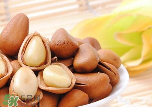 松子一天吃多少粒為宜？松子吃多了有什么壞處