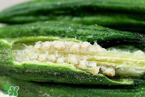 秋葵的粘液可以吃嗎_秋葵里面的粘液能吃嗎 秋葵的粘液可以吃嗎_秋葵里面的粘液能吃嗎