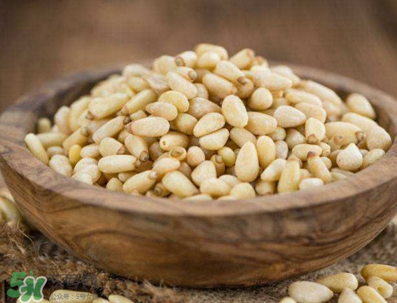 松籽是什么樹結(jié)的？松子還是松籽？