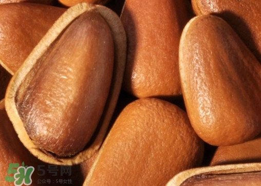 松籽什么季節(jié)采摘？吃松籽有什么好處？