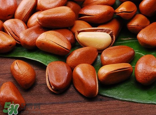 松子不能和什么一起吃？松子什么人不能吃