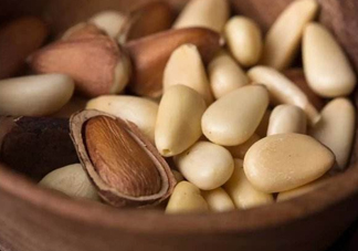 松籽有什么營(yíng)養(yǎng)價(jià)值？松籽仁的功效與作用