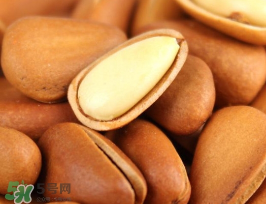 松籽過(guò)期還能吃嗎？松籽出芽是怎么回事