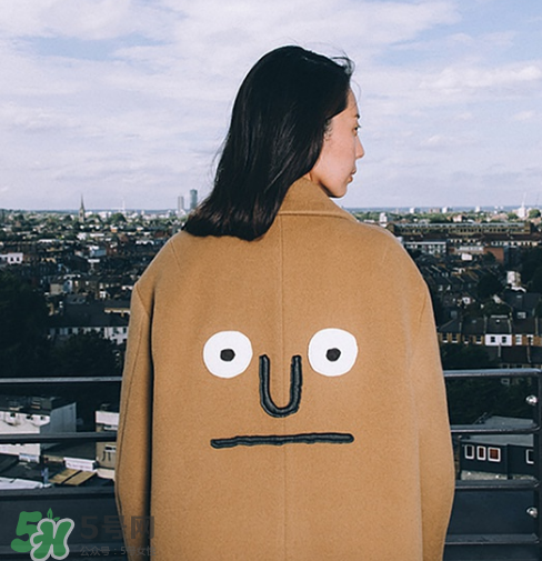 stereo vinyls是什么牌子？stereo vinyls是什么檔次？