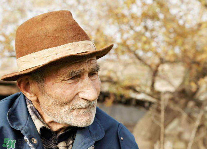 腦血栓是什么原因引起的？腦血栓是怎樣形成的？