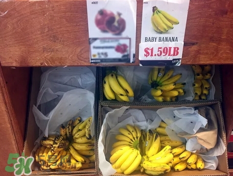 香蕉和棗一起吃為什么會(huì)臭_香蕉和棗一起吃會(huì)怎么樣 香蕉和棗一起吃為什么會(huì)臭_香蕉和棗一起吃會(huì)怎么樣