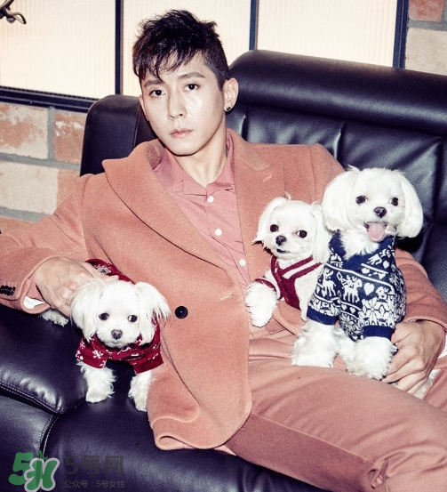 beyond closet是什么牌子？beyond closet是什么檔次？