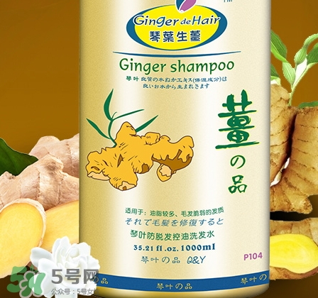琴葉生姜洗發(fā)水好用嗎？琴葉生姜洗發(fā)水真假