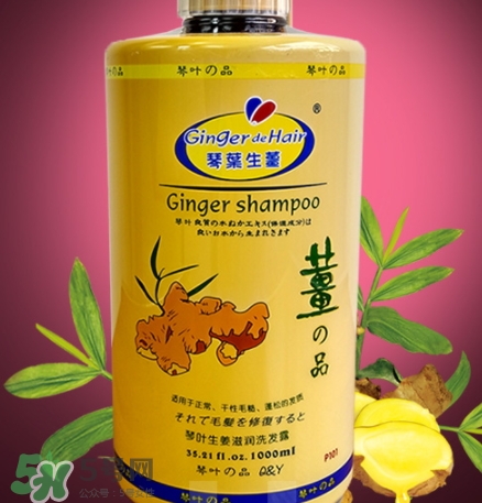 琴葉生姜洗發(fā)水好用嗎？琴葉生姜洗發(fā)水真假