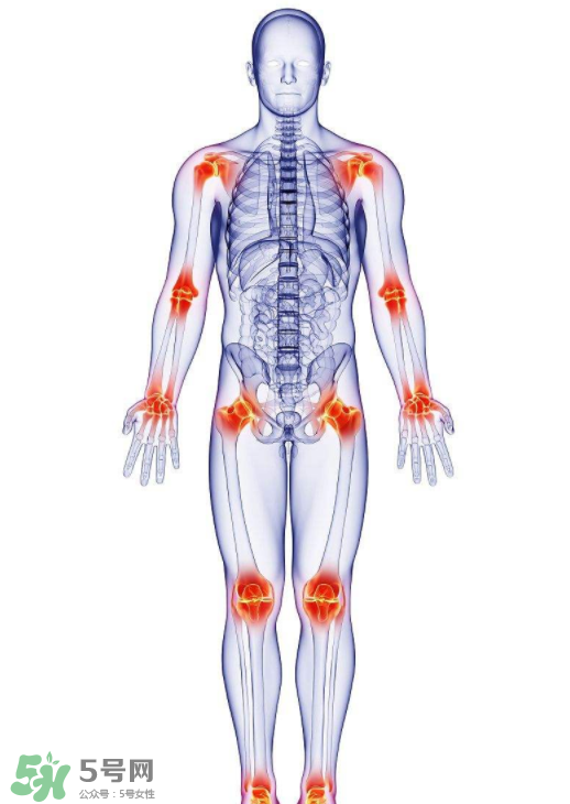 風濕要怎么調(diào)理？風濕要吃什么食物調(diào)養(yǎng)？