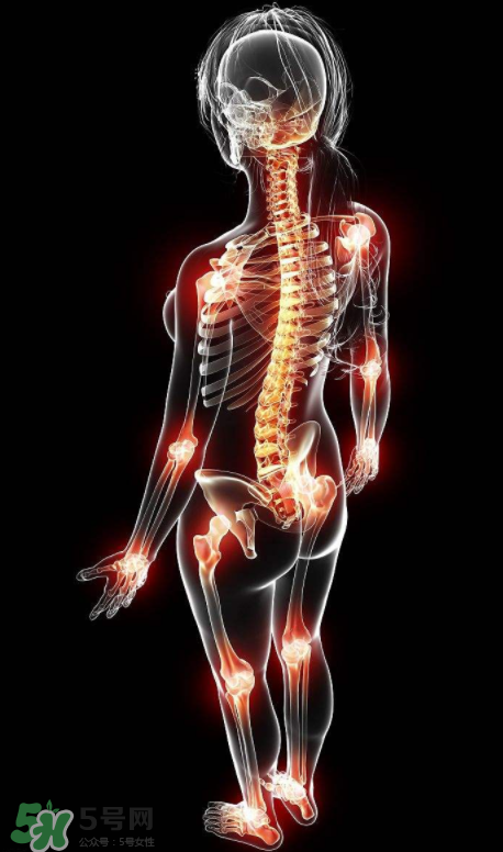 風濕要怎么調(diào)理？風濕要吃什么食物調(diào)養(yǎng)？