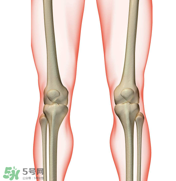 風濕要看什么科？風濕要掛什么科？