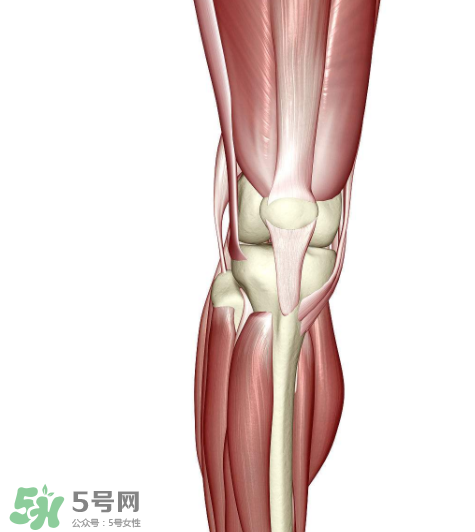 風(fēng)濕會影響懷孕嗎？風(fēng)濕會遺傳嗎？