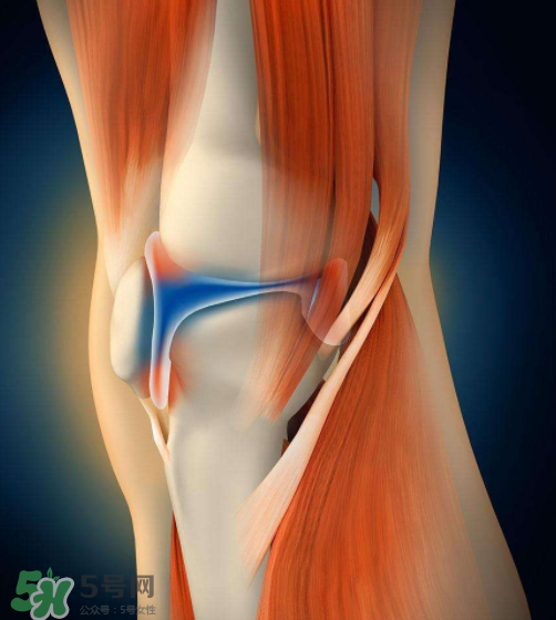 風(fēng)濕會(huì)引起腰痛嗎？風(fēng)濕會(huì)引起手麻嗎？