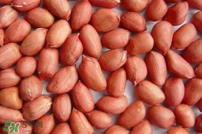 花生發(fā)芽后營養(yǎng)如何？花生殼煮水喝有什么用？
