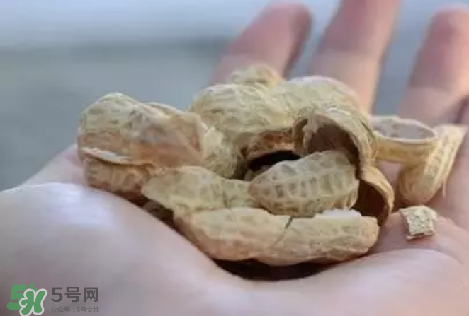 花生發(fā)芽后營養(yǎng)如何？花生殼煮水喝有什么用？