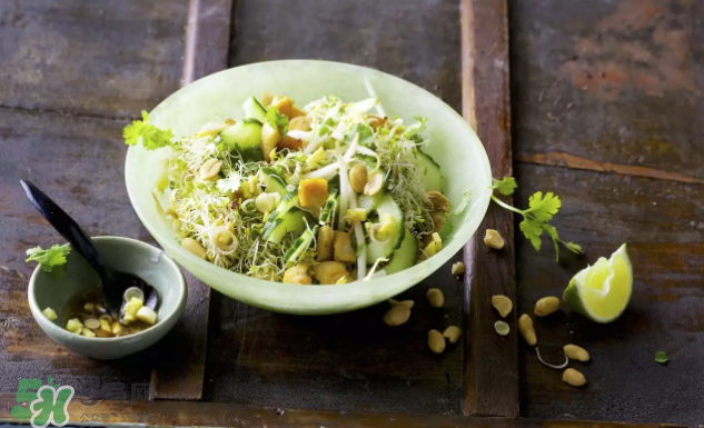 芽苗蔬菜是什么？花生衣有什么用？