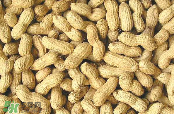 花生能減肥嗎？食用花生的注意事項