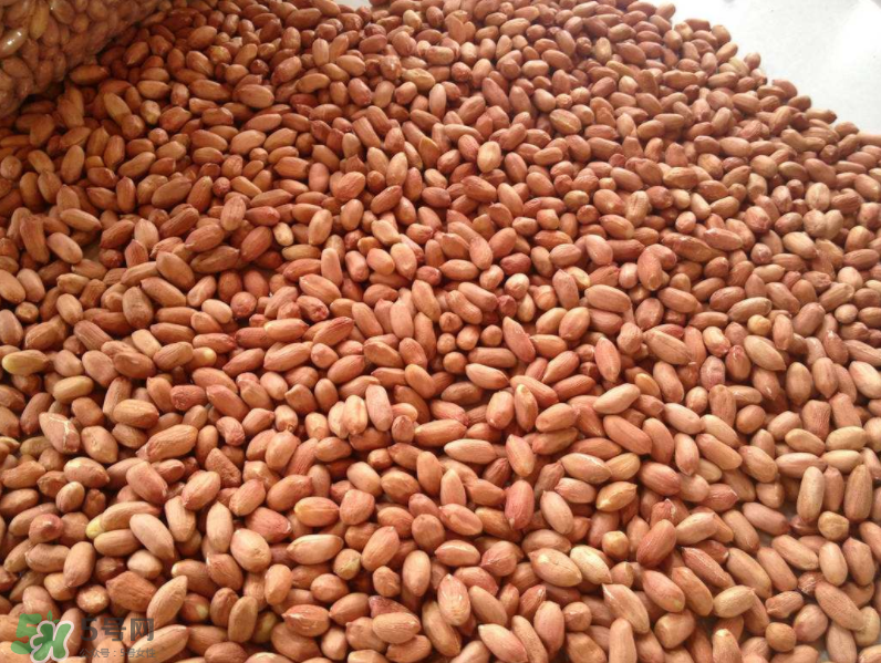 花生減肥是生吃好還是熟吃好?花生的多種烹飪方法 花生減肥是生吃好還是熟吃好?花生的多種烹飪方法