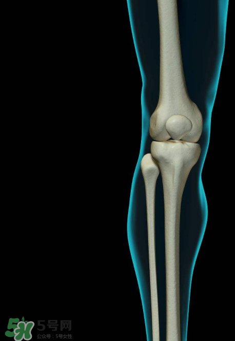 風(fēng)濕可以吃螃蟹嗎？得了風(fēng)濕能吃螃蟹嗎？