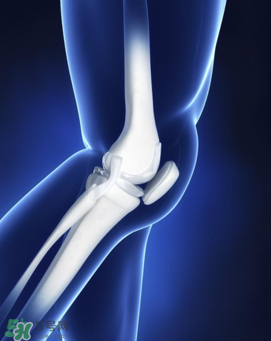 風(fēng)濕可以吃螃蟹嗎？得了風(fēng)濕能吃螃蟹嗎？