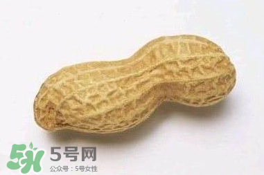 花生有哪些種類型？花生怎么栽培管理？