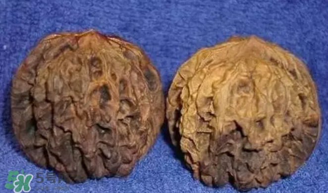 核桃上的陰皮是什么？核桃對血管的作用