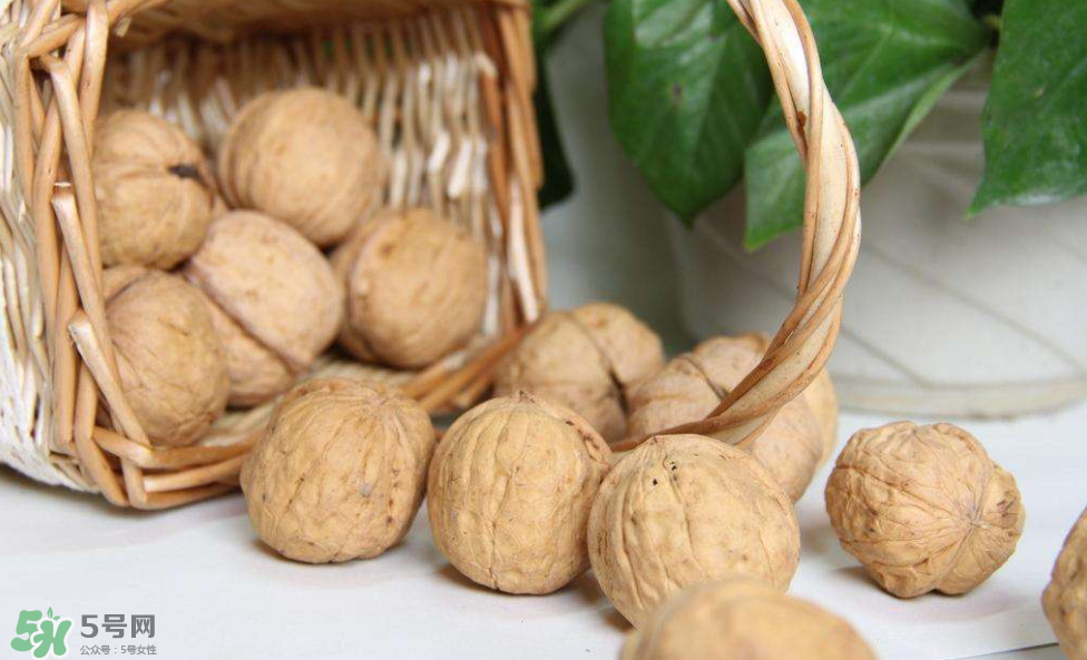 核桃組有哪些？核桃的栽培技術(shù)是什么？