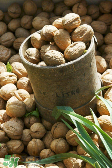 核桃酒是什么？核桃酒的功效是什么？