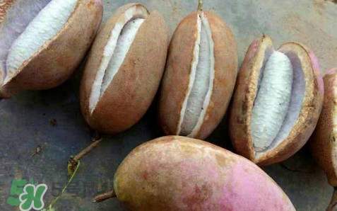 八月炸和八月扎有區(qū)別嗎？八月炸能泡酒嗎