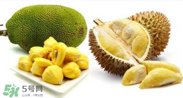 榴蓮和菠蘿蜜一樣嗎？榴蓮和菠蘿蜜哪個(gè)營(yíng)養(yǎng)好？