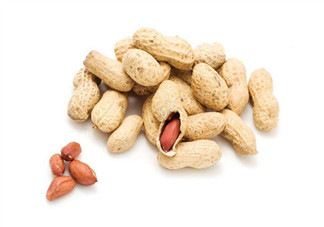 芽苗蔬菜是什么？花生衣有什么用？