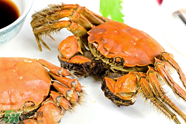 大閘蟹放水里能活多久 大閘蟹可以放水里嗎 大閘蟹放水里能活多久 大閘蟹可以放水里嗎