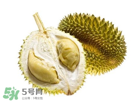 榴蓮籽能種嗎？榴蓮籽怎么種小盆栽？