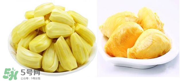 榴蓮和菠蘿蜜一樣嗎？榴蓮和菠蘿蜜哪個(gè)營(yíng)養(yǎng)好？