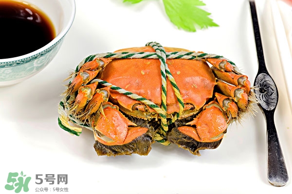 大閘蟹放水里能活多久 大閘蟹可以放水里嗎 大閘蟹放水里能活多久 大閘蟹可以放水里嗎