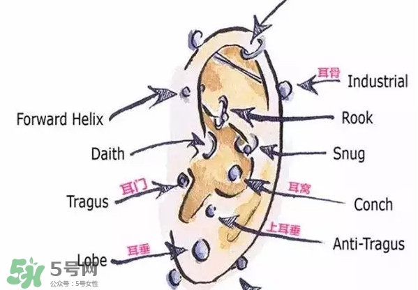 耳洞打什么位置好看？打耳洞痛不痛？