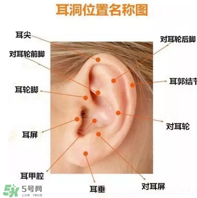 打耳洞多少錢一對(duì)？打耳洞相當(dāng)于什么疼